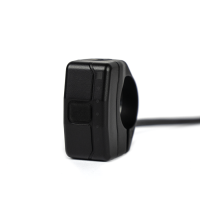 Fazua Ride 50 Remote BX