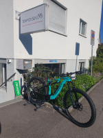 Wilier Urta Hybrid
