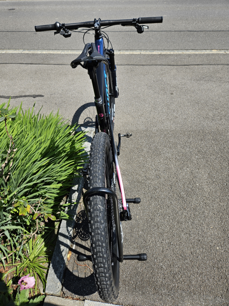 Ghost Lector FS World Cup