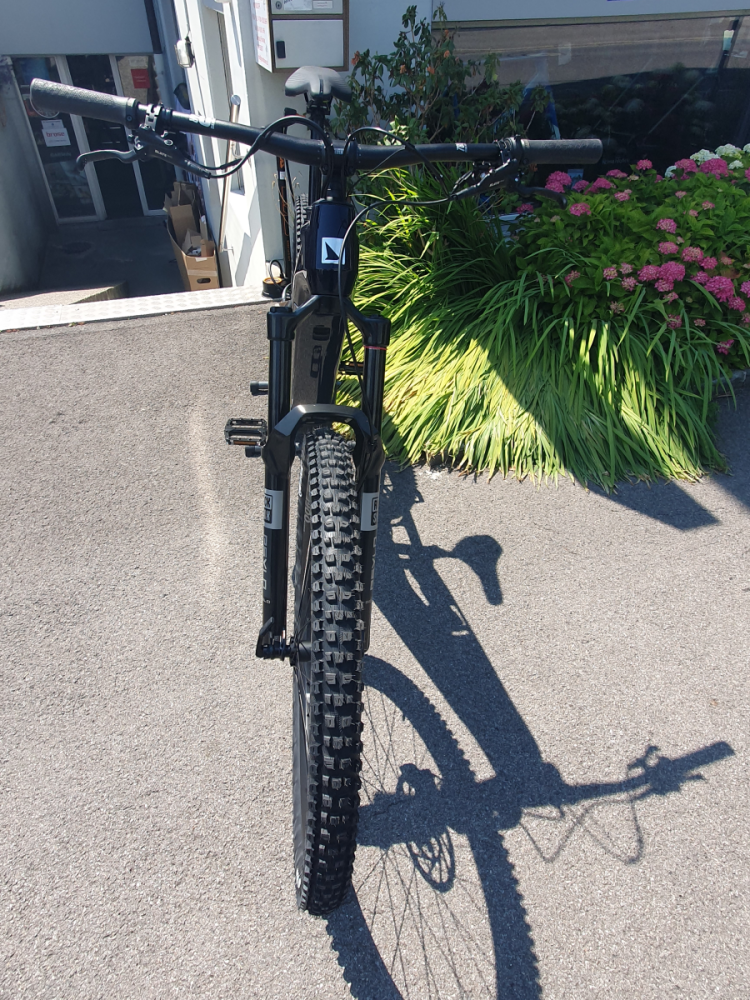 Haibike ALLMTN CF 10