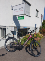 Winora Sinus FS R5f Pro ABS Low