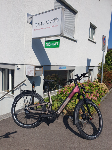 Winora Sinus FS R5f Pro ABS Low