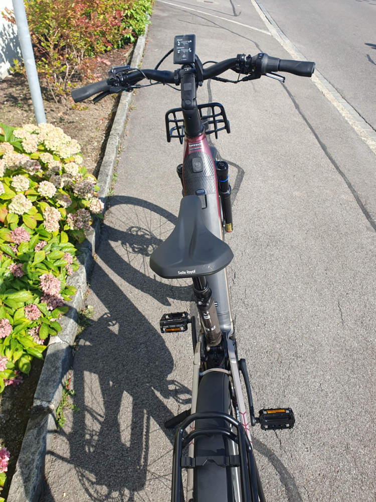 Winora Sinus FS R5f Pro ABS Low