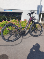 Winora Sinus FS R5f Pro ABS Low