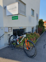 Wilier Triestina Urta Max SLR   Spezial Preis Olympia Lackierung