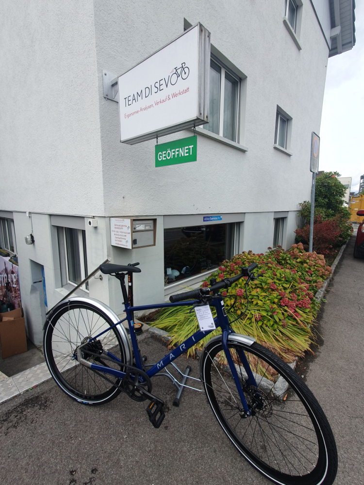 Marin Bikes PRESIDIO 3