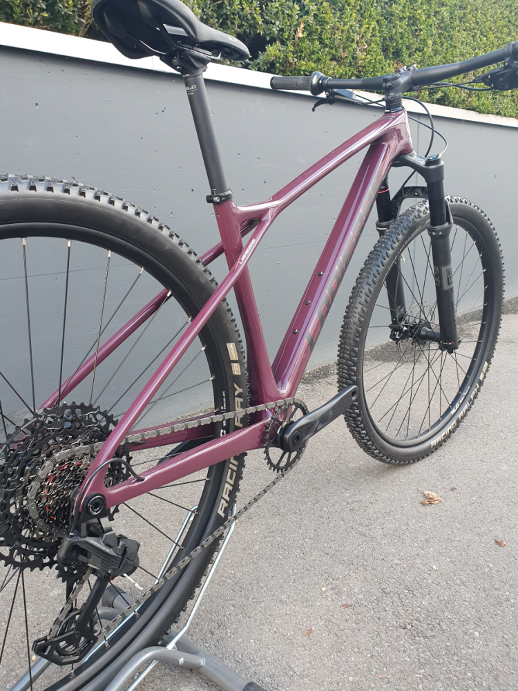 Lapierre PRORACE CF 6.9